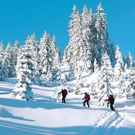 Holiday Erzberg Alpin - Osm02507-cya * إيسينيرزير
